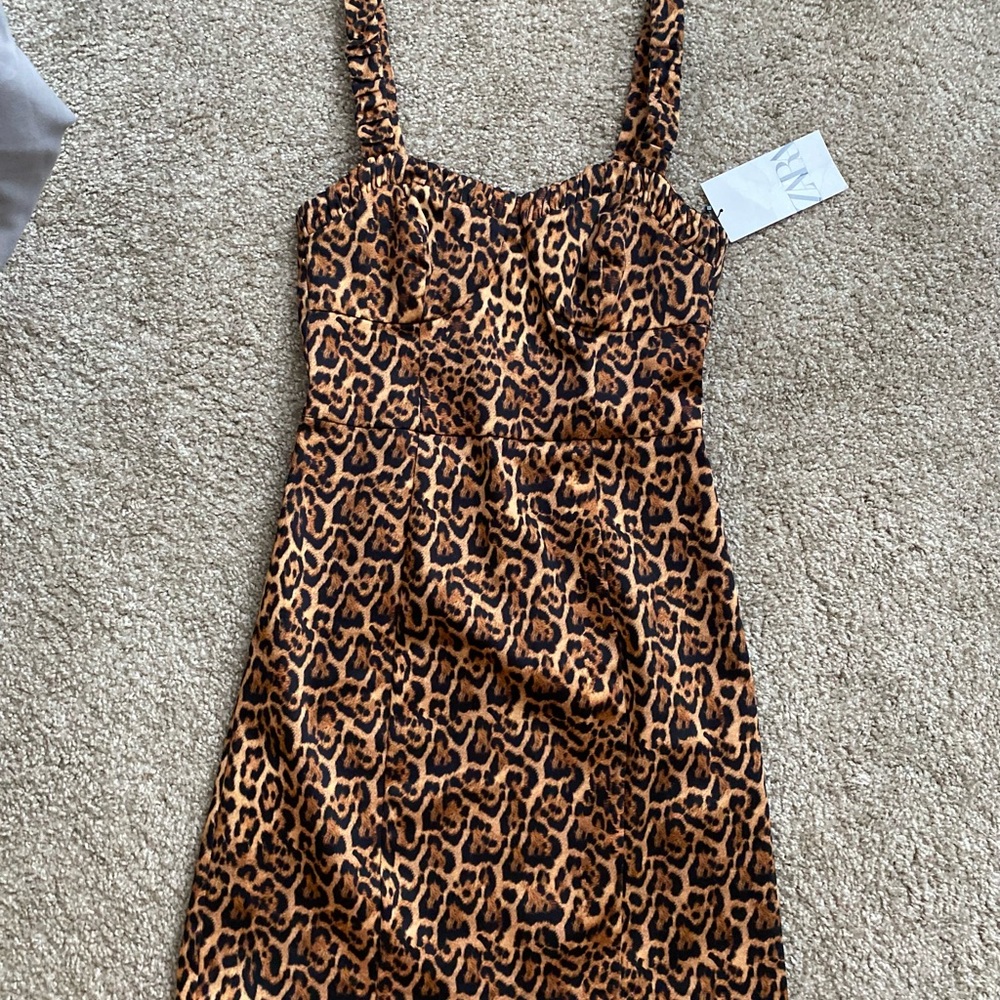 Zara leopard print cocktail mini dress
